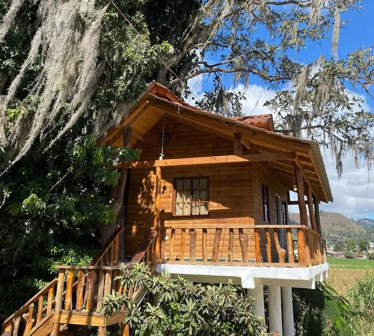 Cedro House Constanza Villa