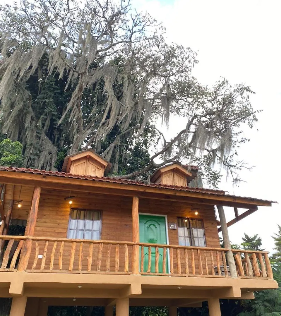 Cedro House Constanza Villa