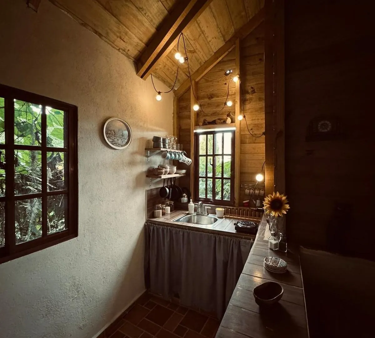 Cedro House Constanza Villa