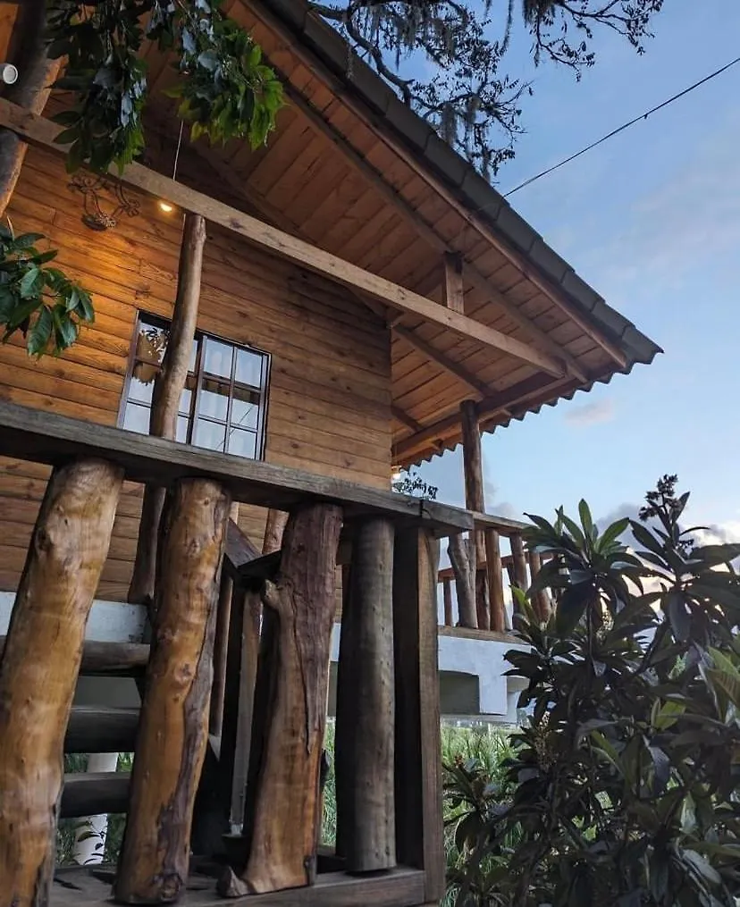 Cedro House Constanza Villa