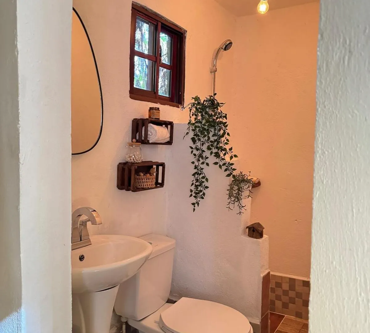 Cedro House Constanza Villa Dominican Republic